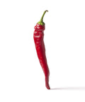 Chili Pepper