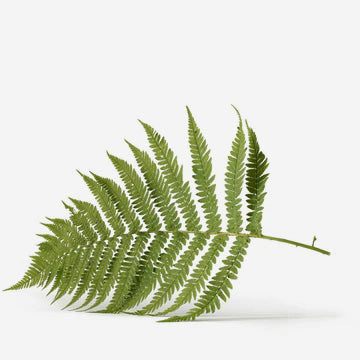 For Conscious Eaters