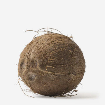 Delicious & New Food